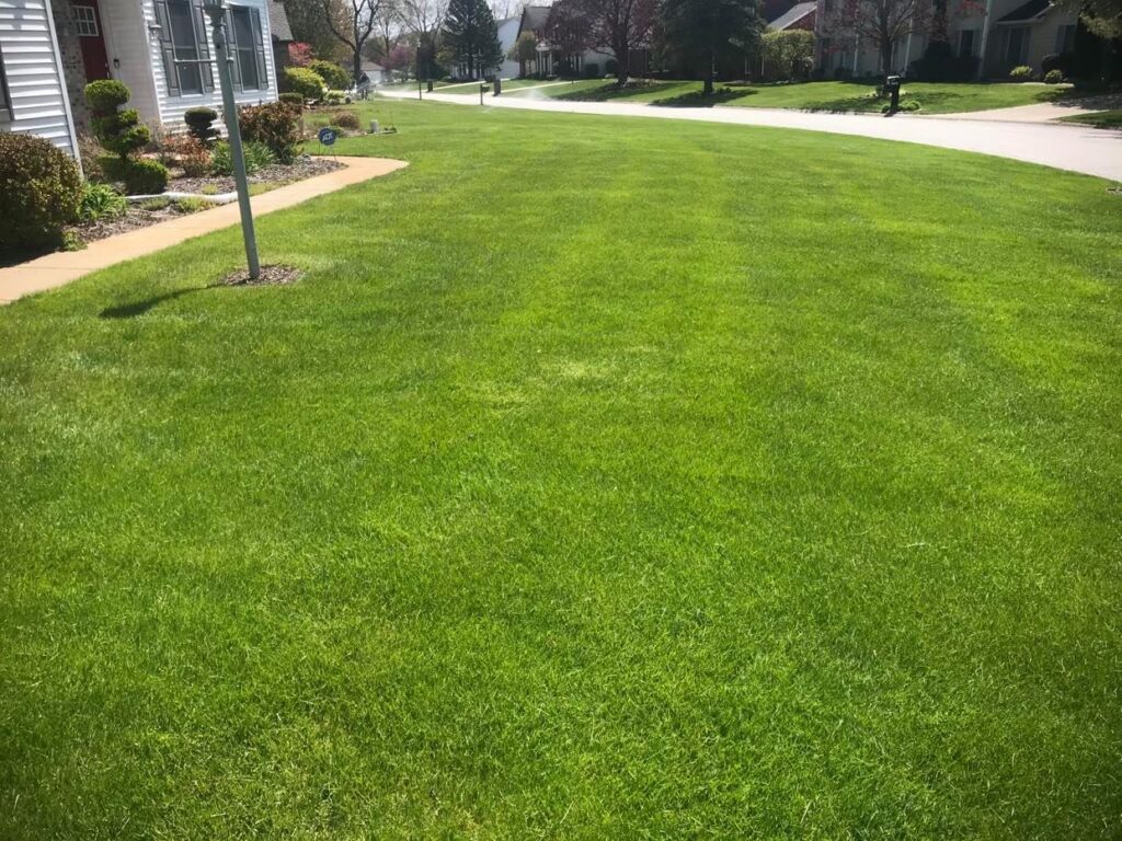 lawn2